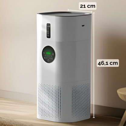 Purificateur d'air 2 en 1