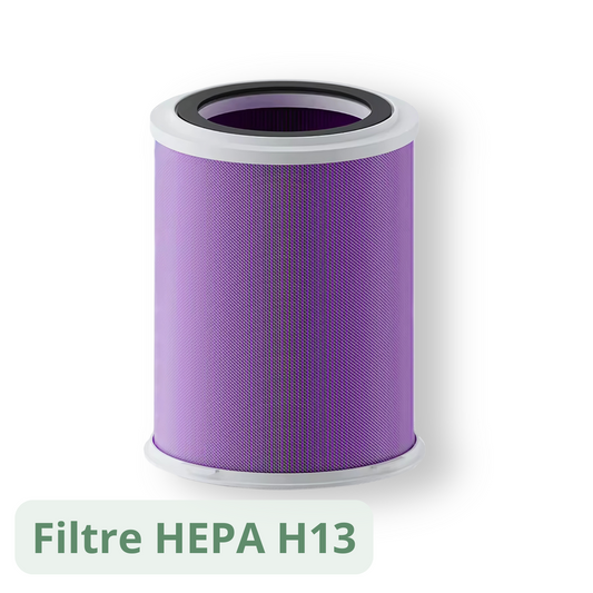 Filtre HEPA H13