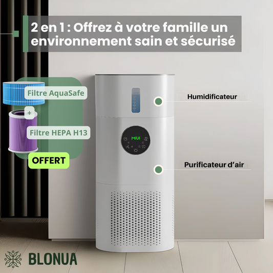 Purificateur d'air 2 en 1